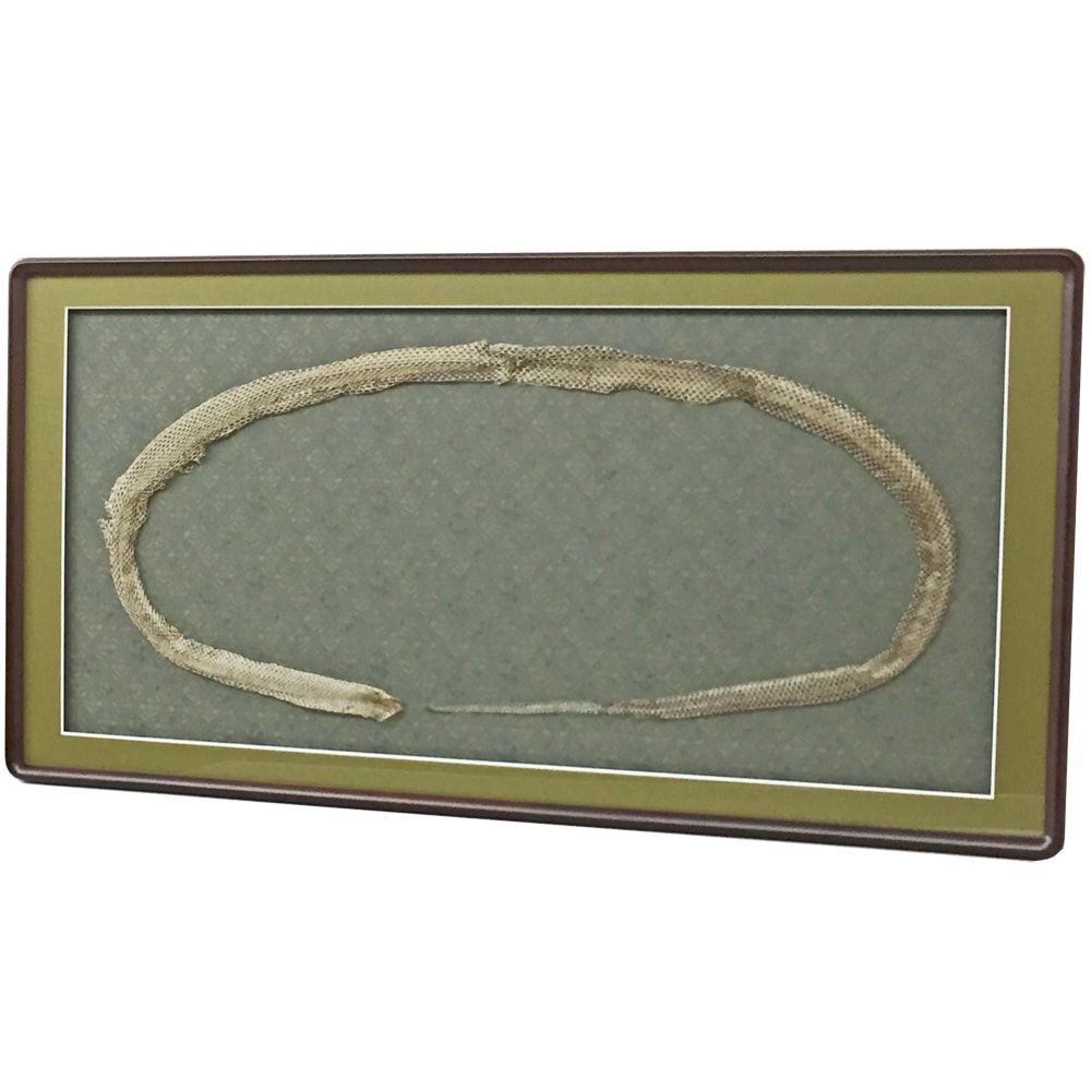 和の装い 蛇の抜け殻