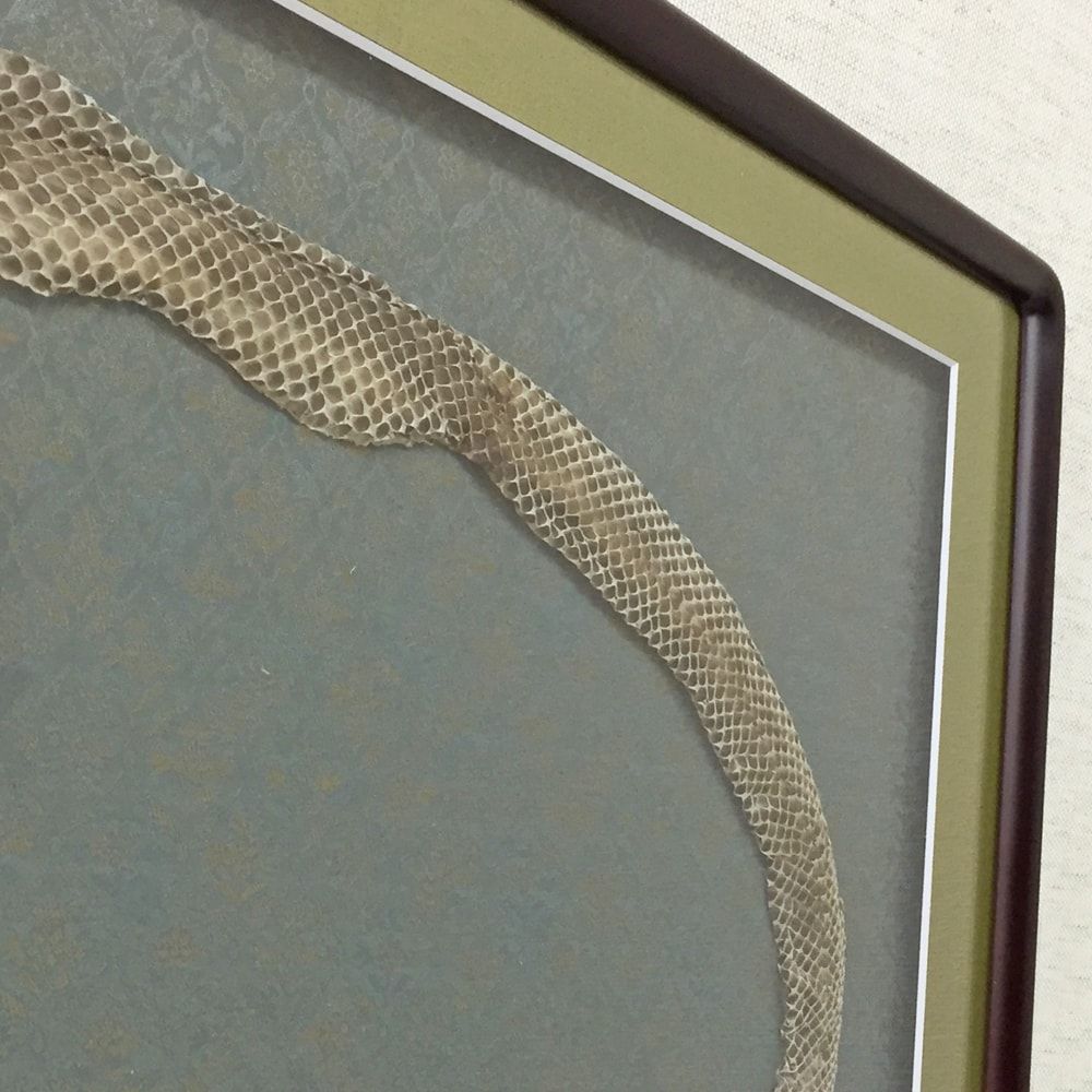 和の装い 蛇の抜け殻