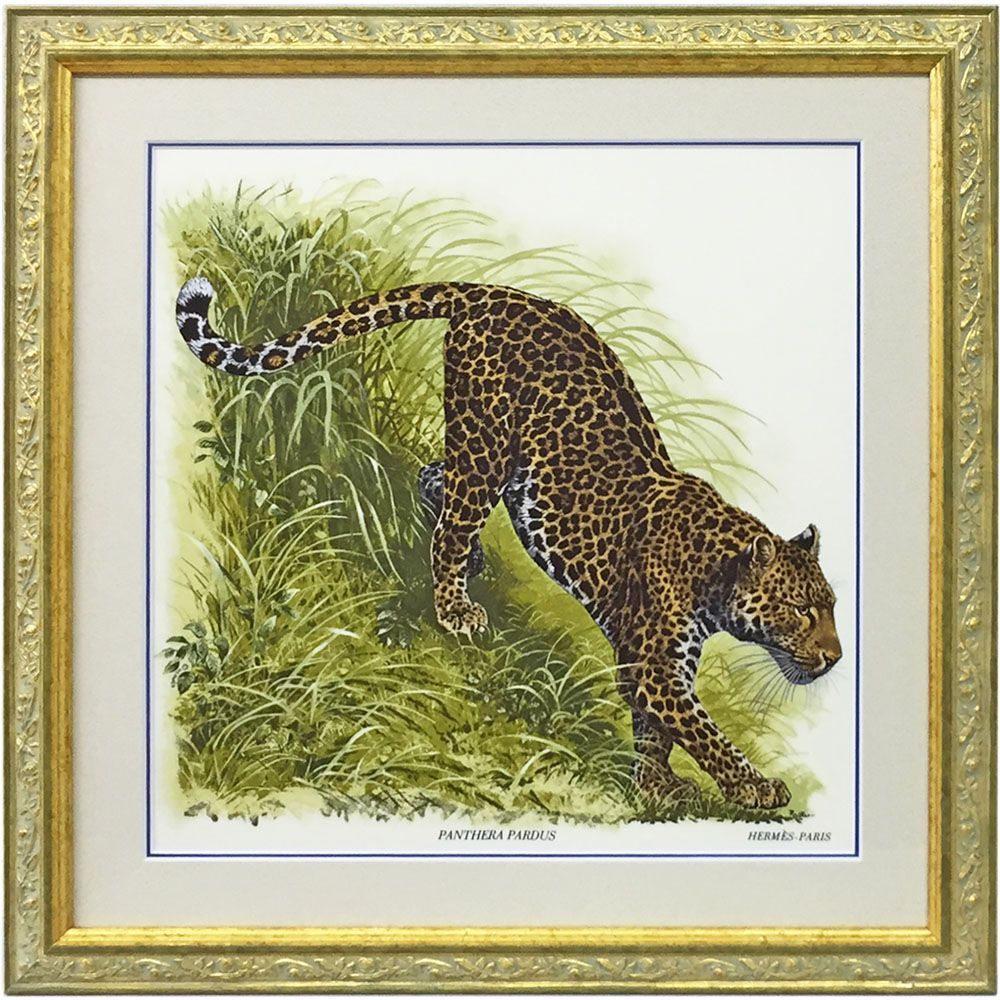 45cm パンテラパルドゥス