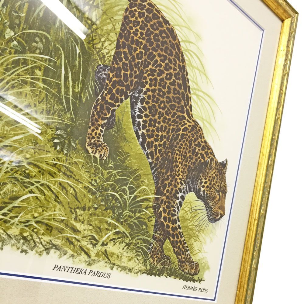 額装実例3 45cm パンテラパルドゥス