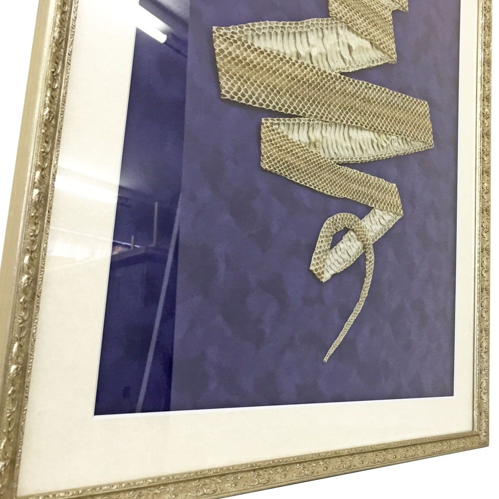 青大将の抜け殻 寿