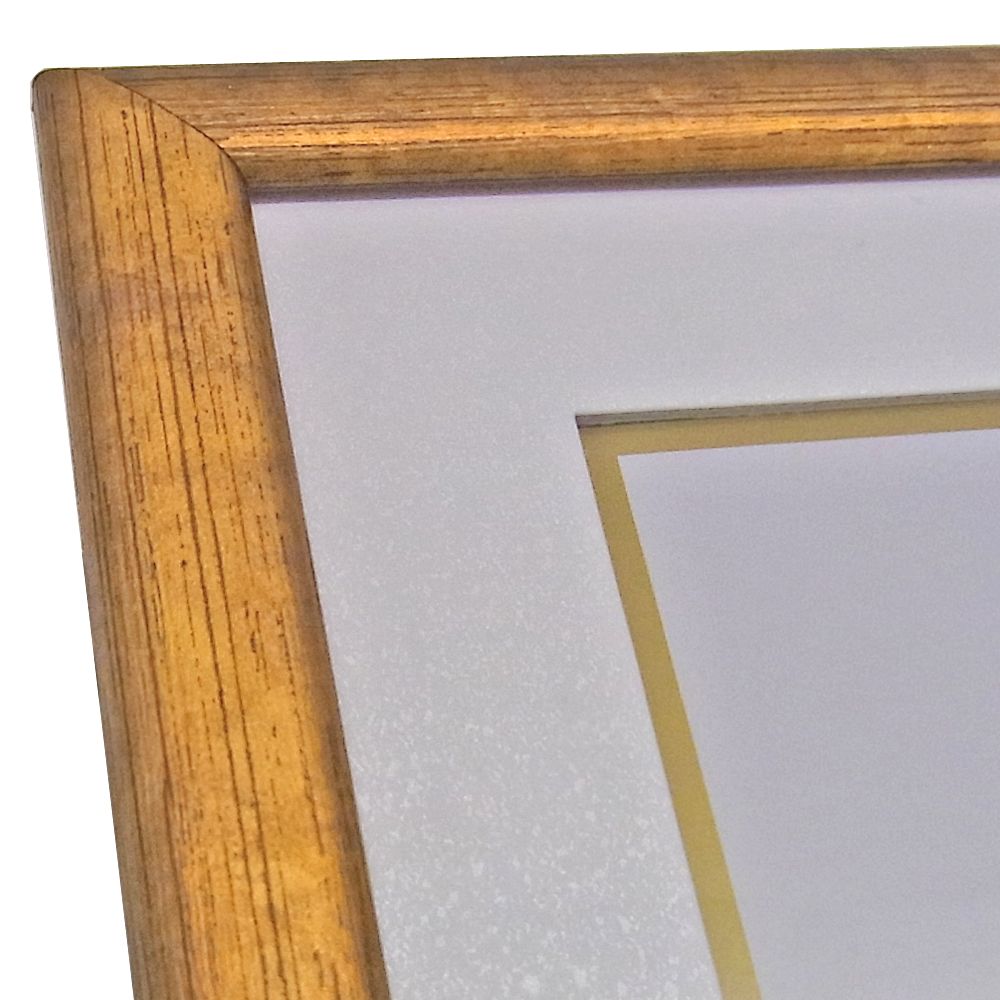 詳細画像4 色紙額 彩(JS460)