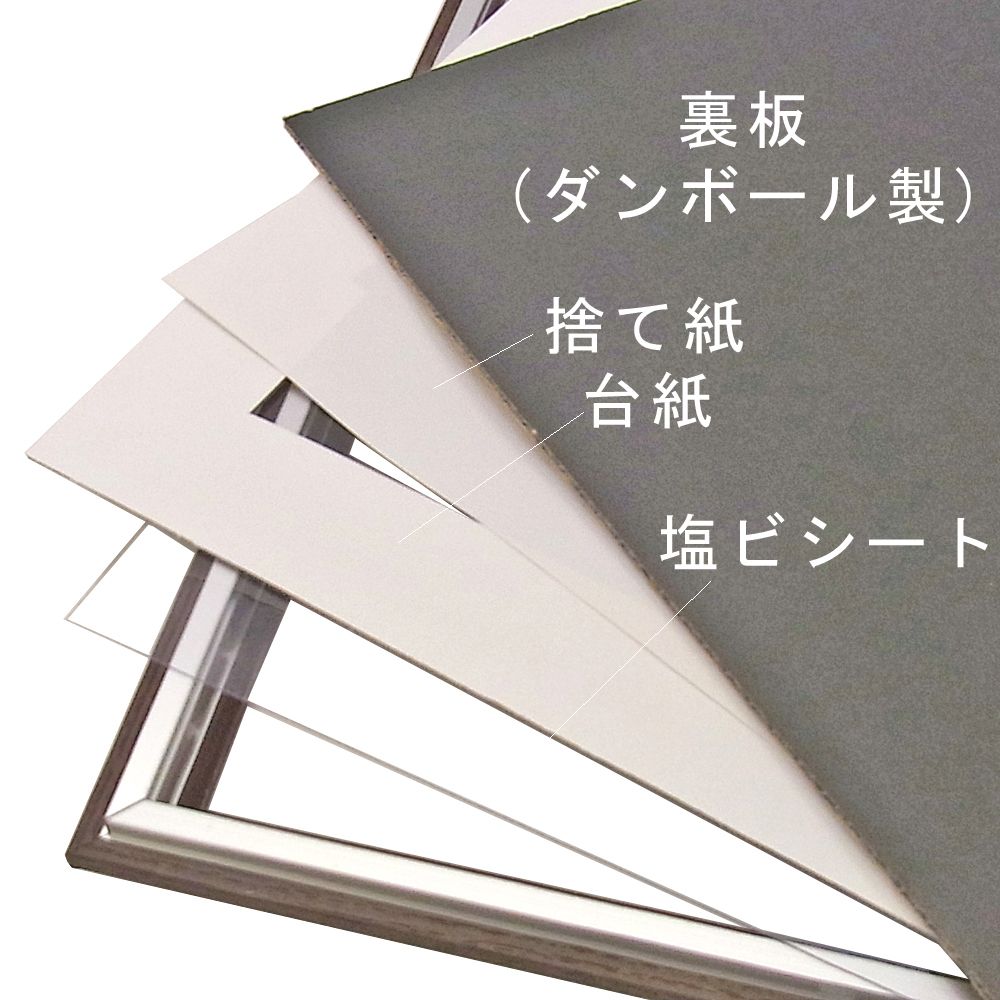 詳細画像5 色紙額 彩(JS460)