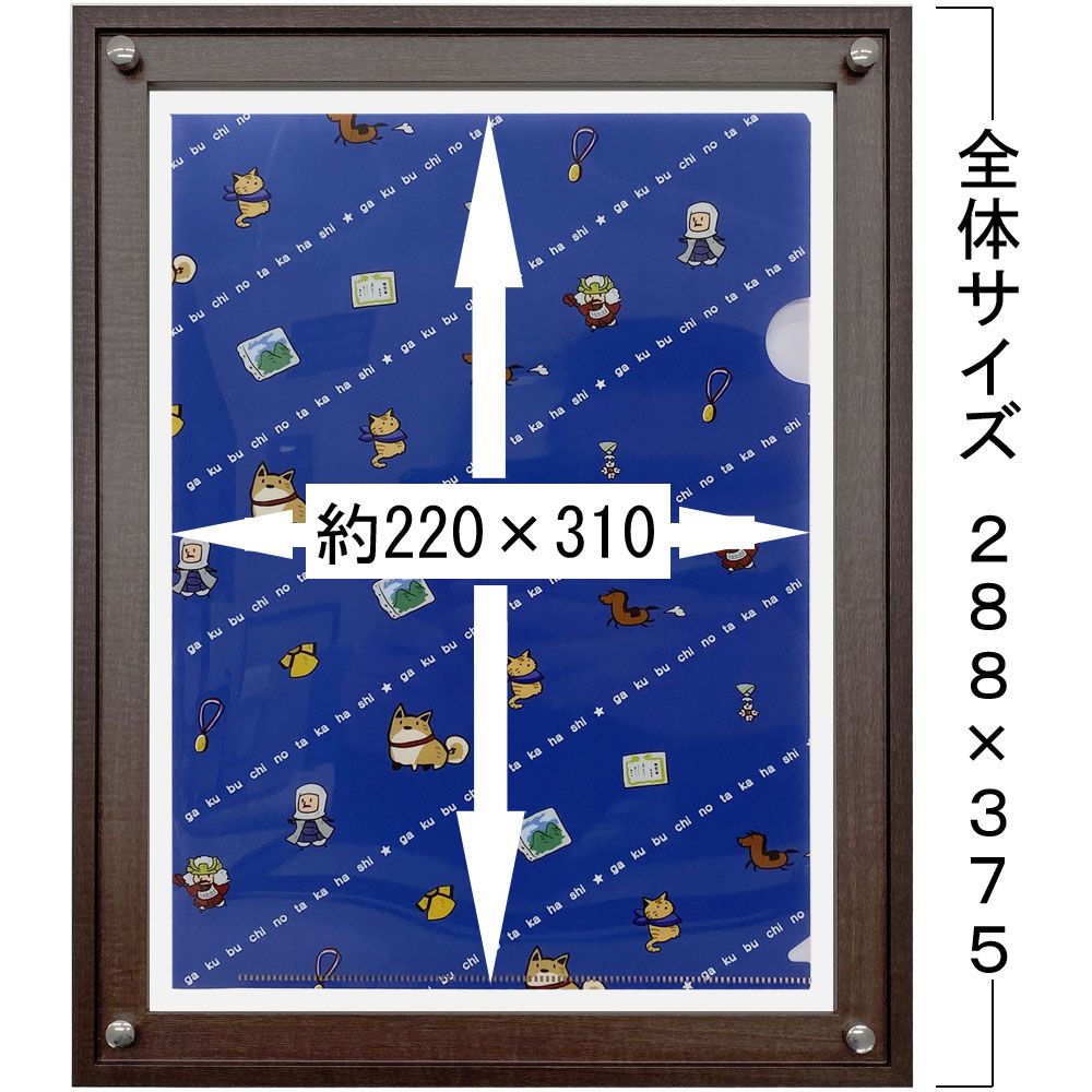 詳細画像5 クリアファイル専用額