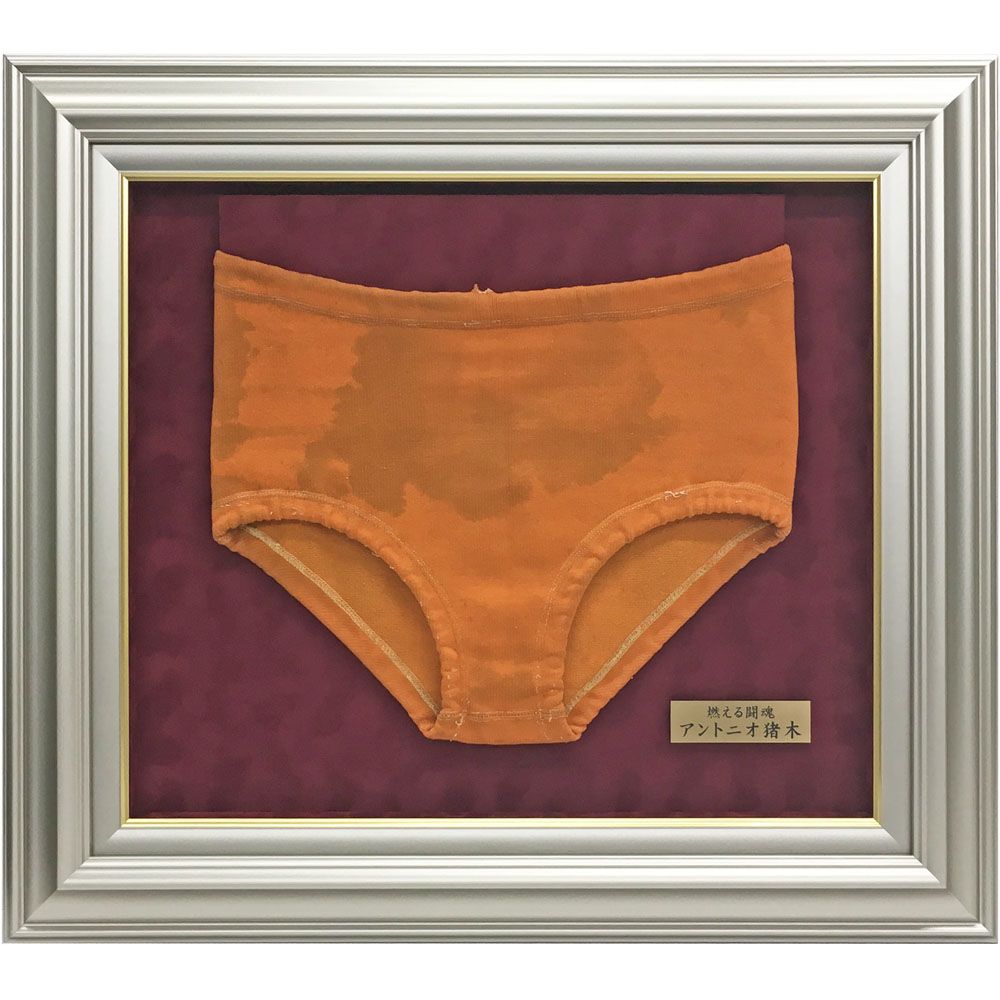 猪木 レスラーパンツ