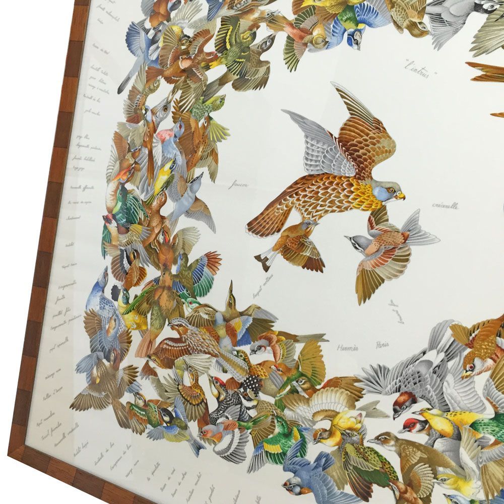 スカーフ 鳥類図鑑