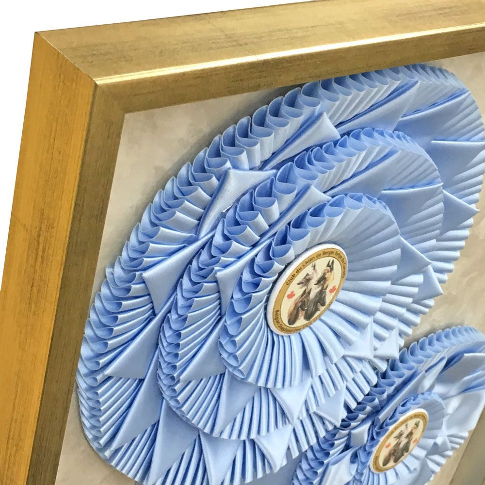 ドッグショー 複数リボン