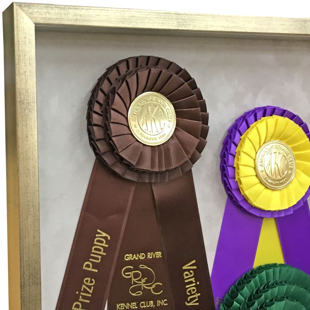 ドッグショーのリボン