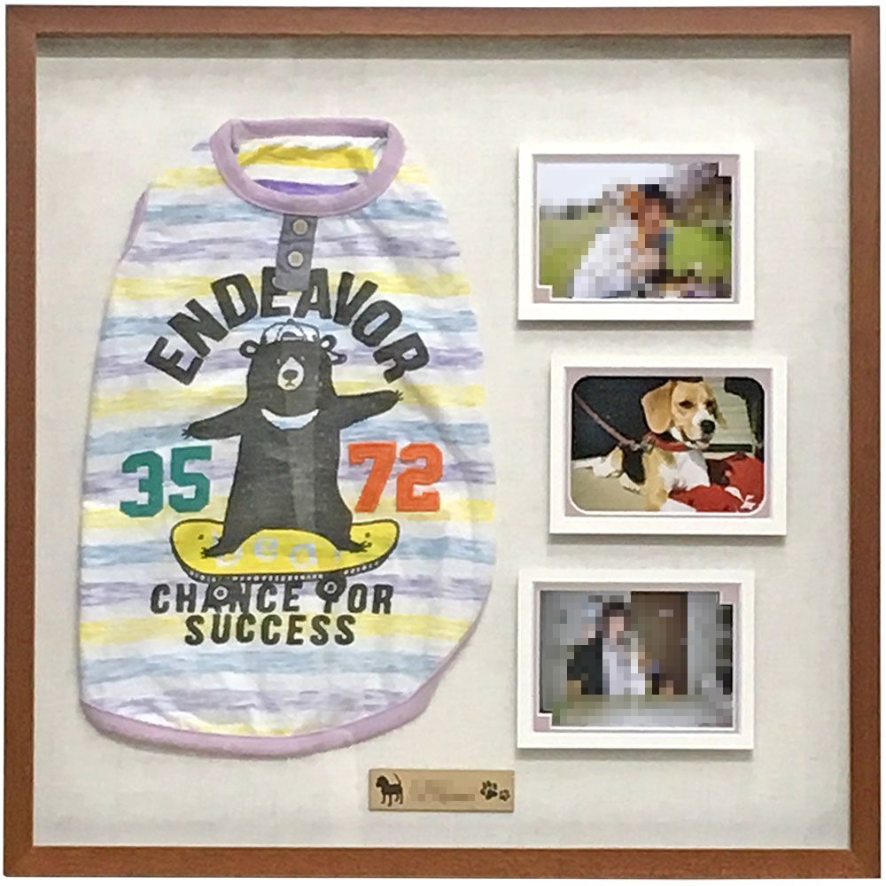 ドッグウェアとお写真