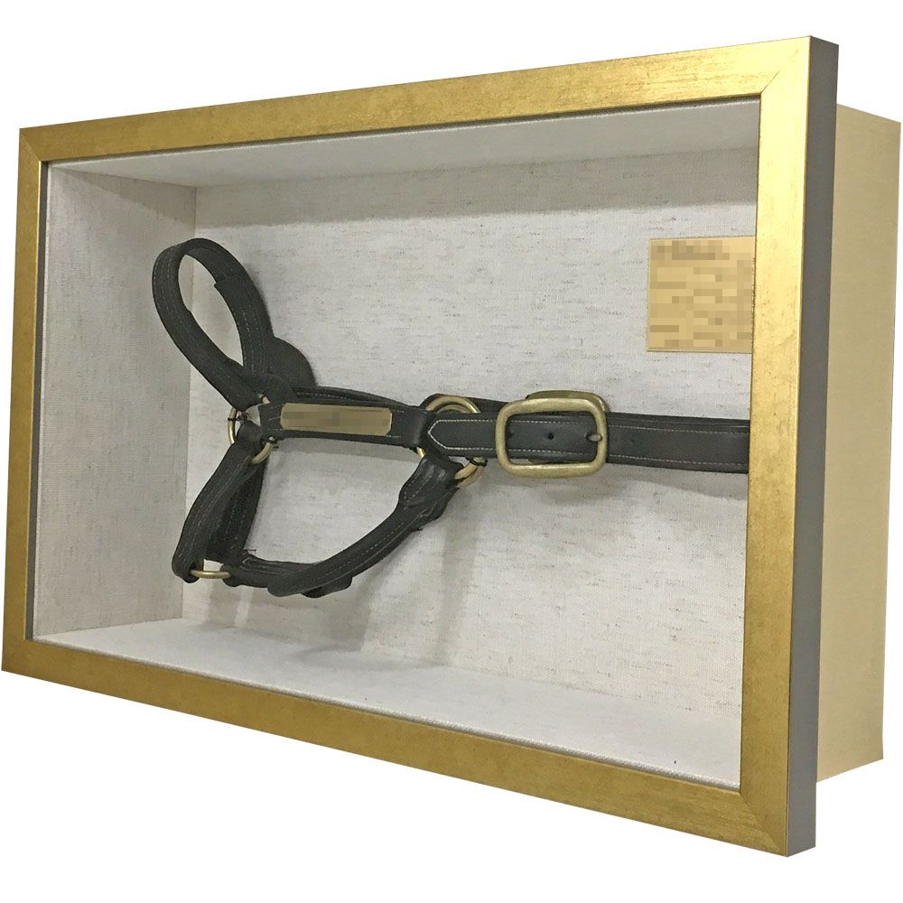 競走馬の頭絡(とうらく)