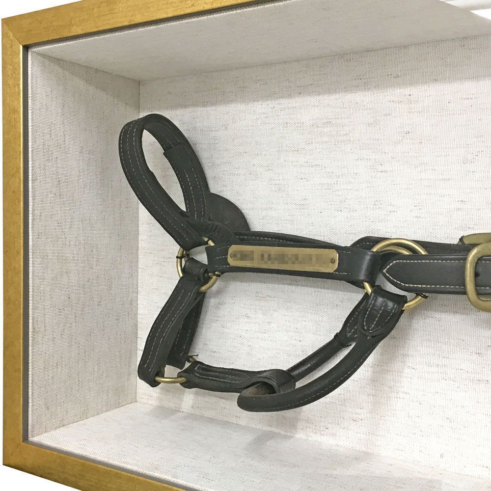 競走馬の頭絡(とうらく)