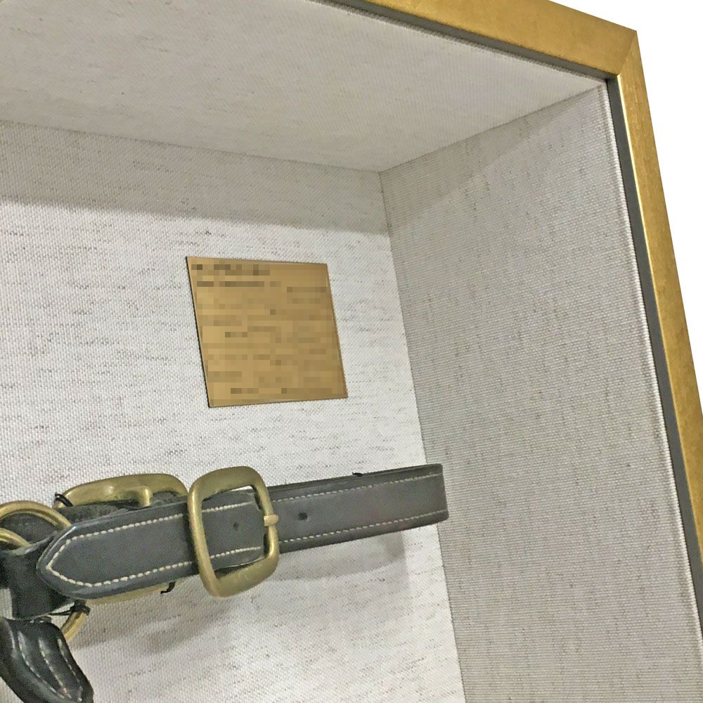 額装実例6 競走馬の頭絡(とうらく)