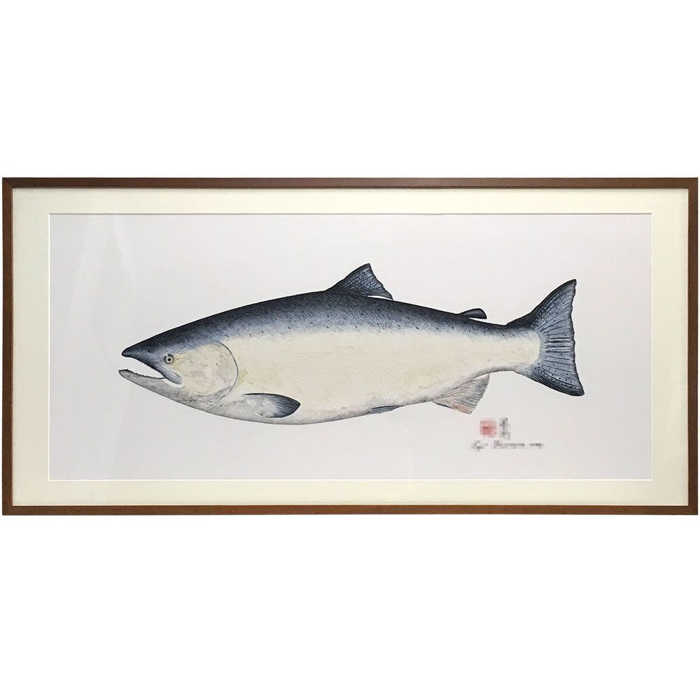 魚拓 キングサーモン