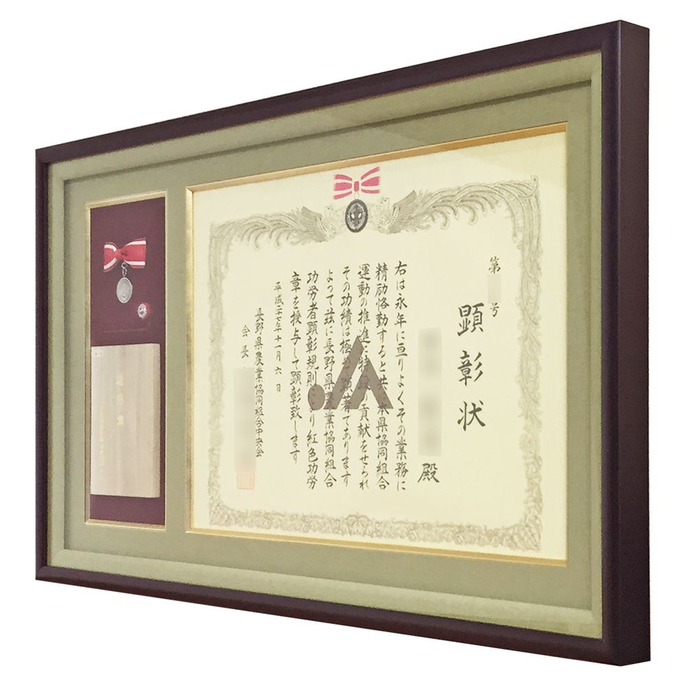 JA長野中央会 功労章