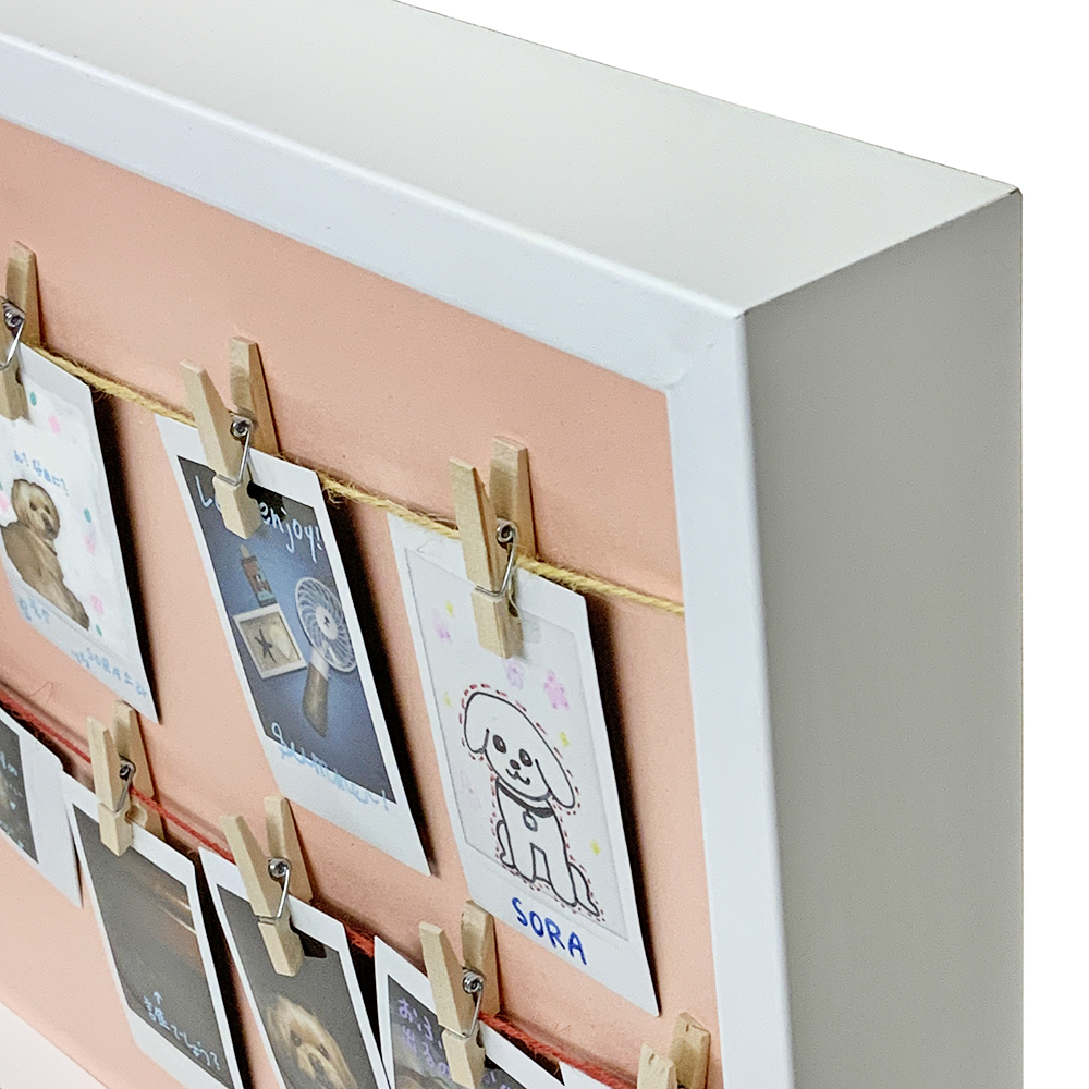 チェキの写真 トイプードル