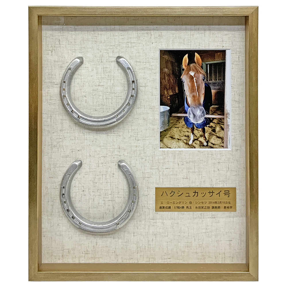 蹄鉄(ていてつ)2個とお写真