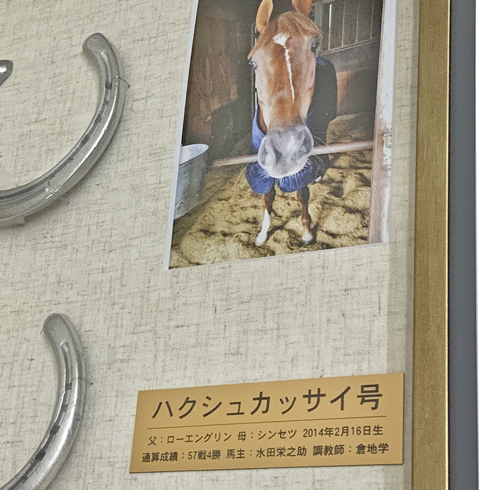 額装実例5 蹄鉄(ていてつ)2個とお写真
