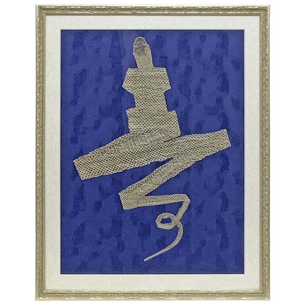 既製額を使った抜け殻の額装