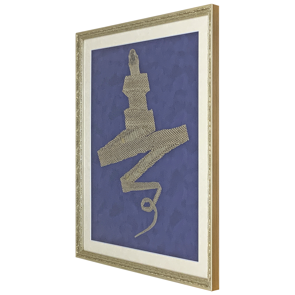 既製額を使った抜け殻の額装