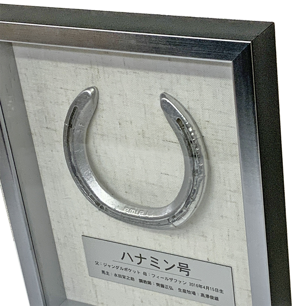 競走馬 蹄鉄(ていてつ)