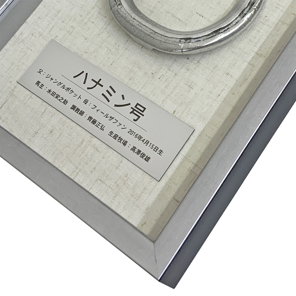 額装実例4 競走馬 蹄鉄(ていてつ)