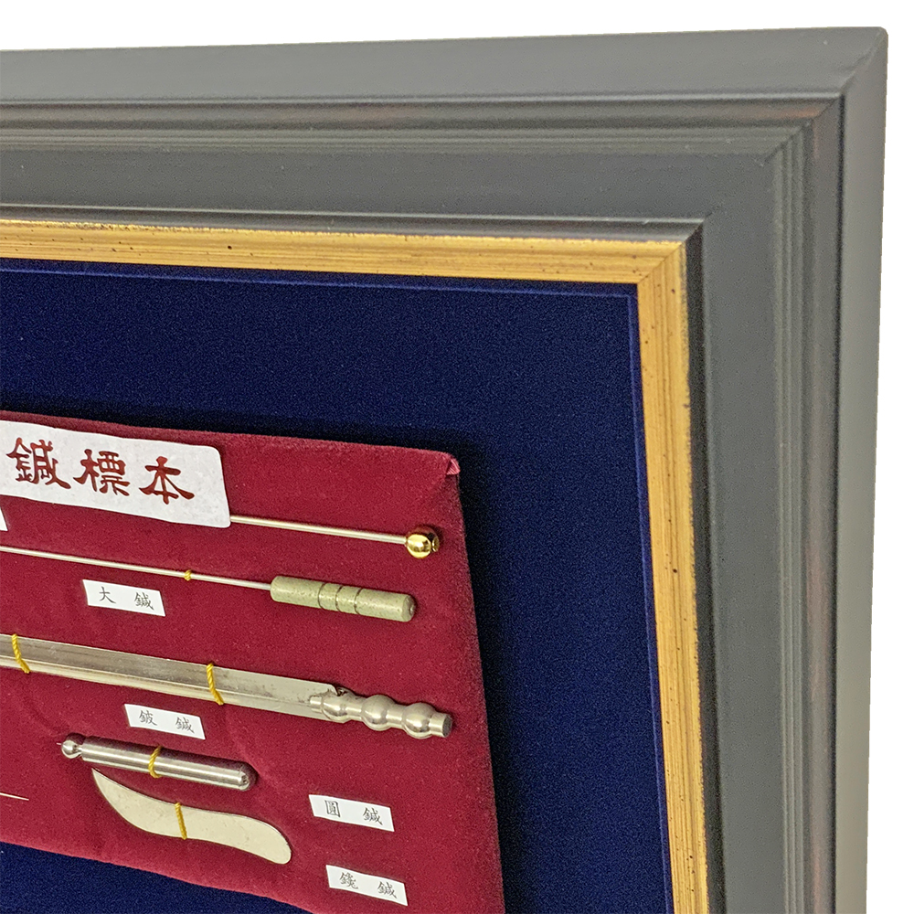 鍼治療 針見本