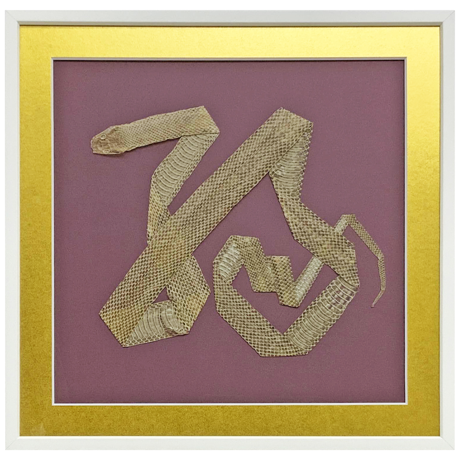 蛇の抜け殻 [縁]の形で