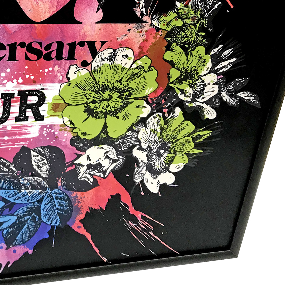 L'Arc~en~Ciel 30th ラルクアンシエルのアニバーサリーライブ