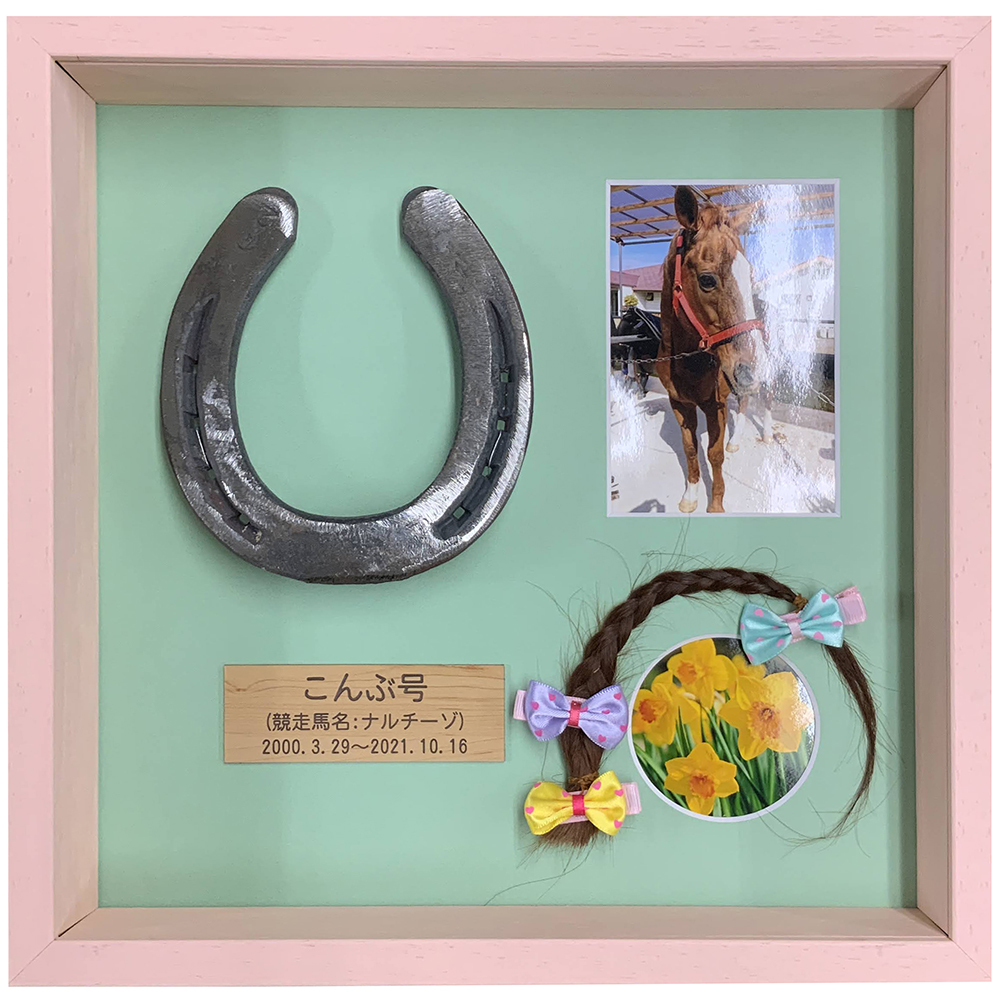 競走馬 蹄鉄 たてがみ お写真