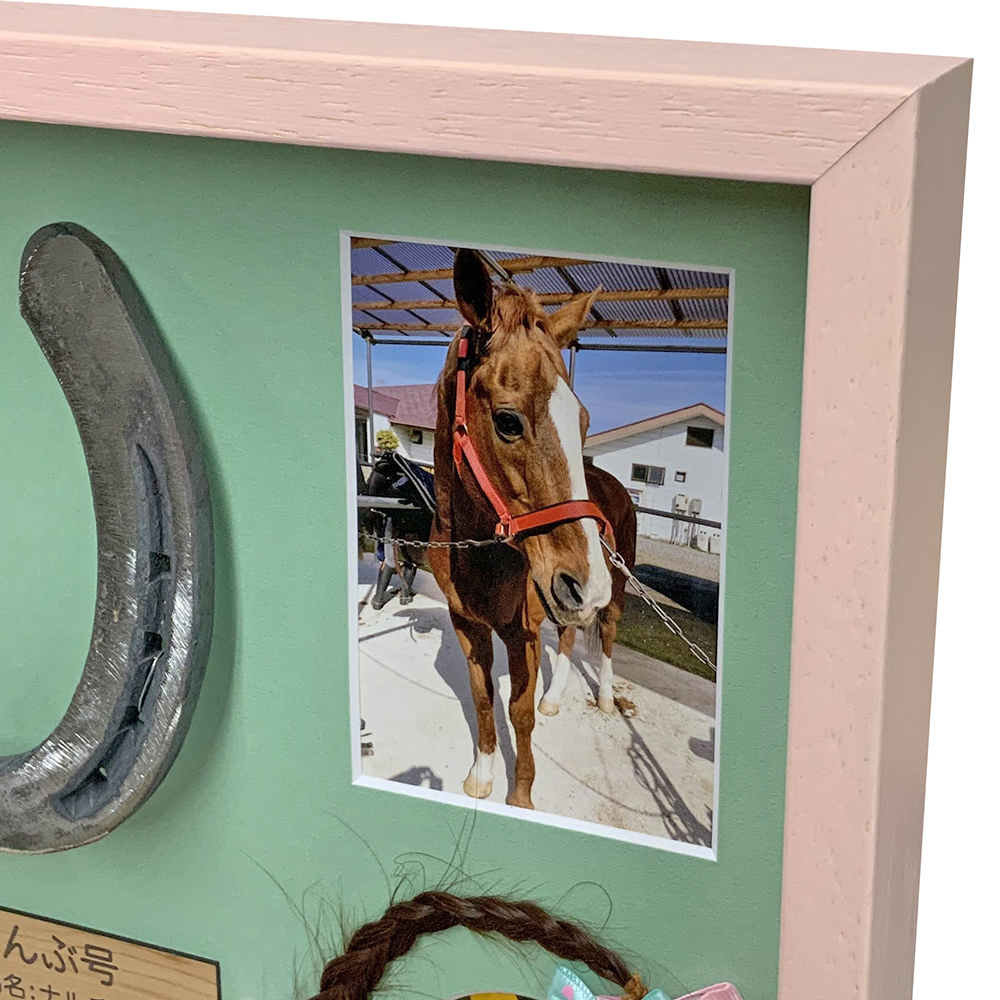 競走馬 蹄鉄 たてがみ お写真