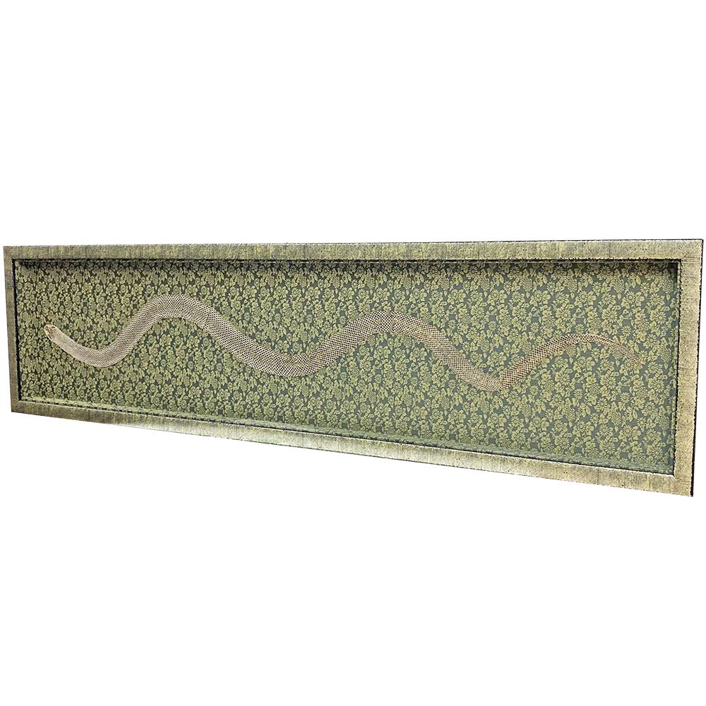 蛇の抜け殻 どんす柄の背景