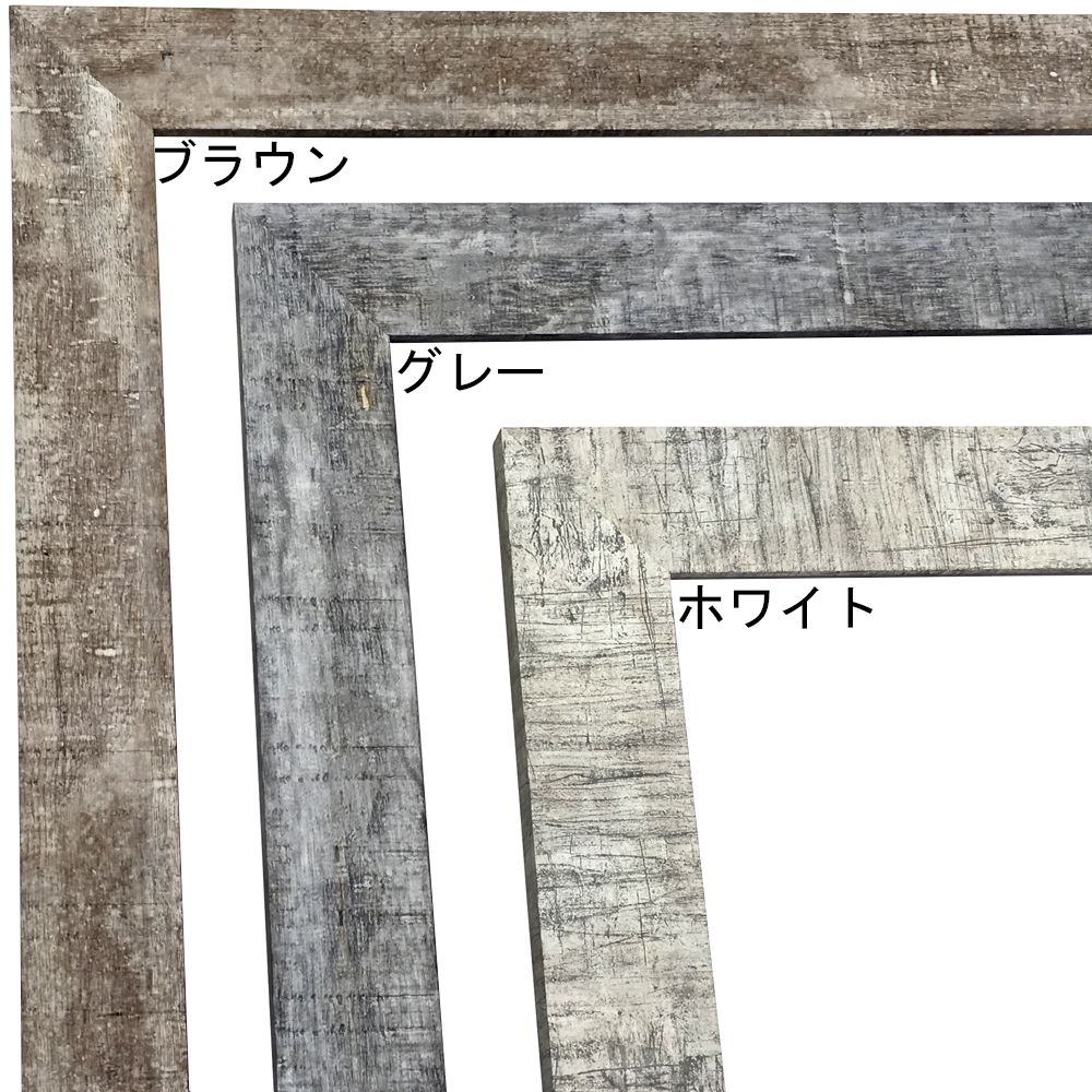 詳細画像2 一般額. APS-05