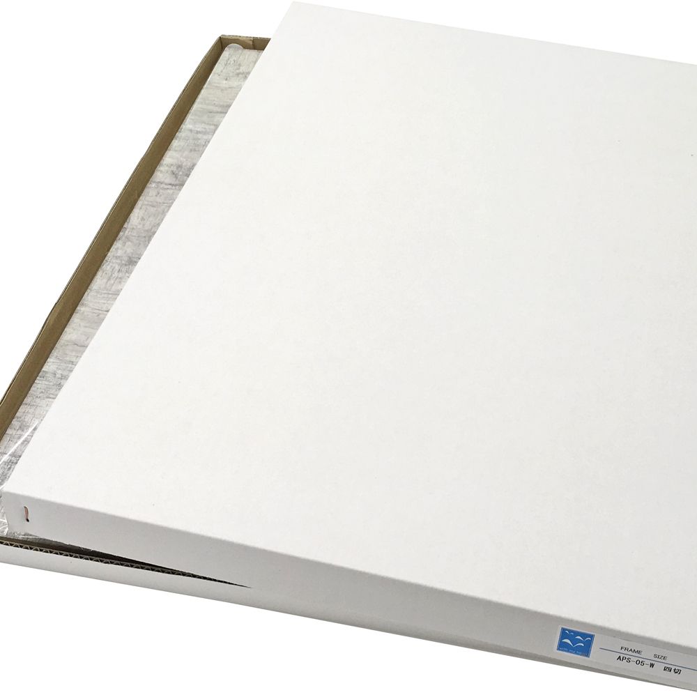詳細画像9 一般額. APS-05