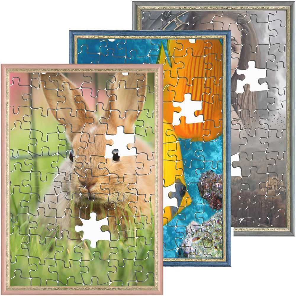 詳細画像 パズル用 APS-02