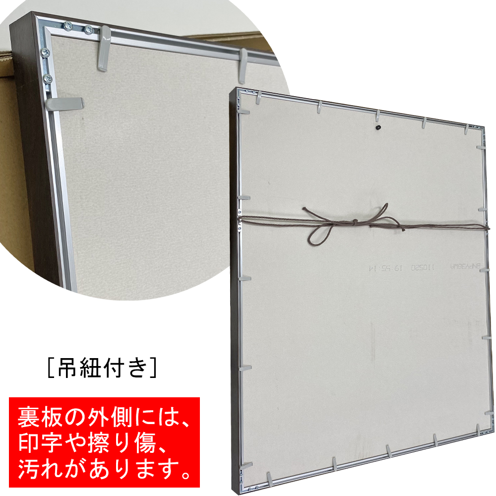 詳細画像9 [セット工賃込] ユニフォーム額 GT06