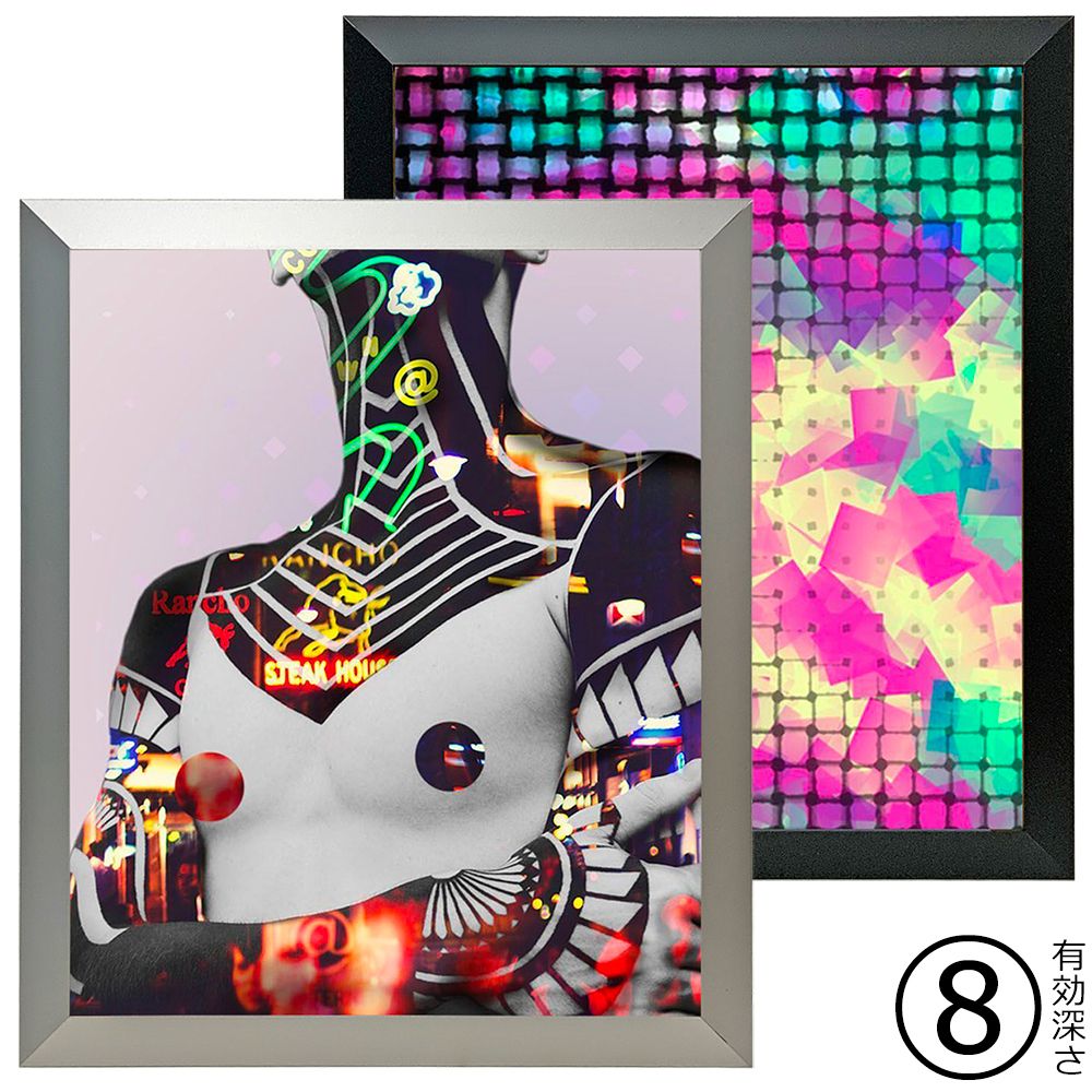 一般額 FLAP-PL(フラップ)