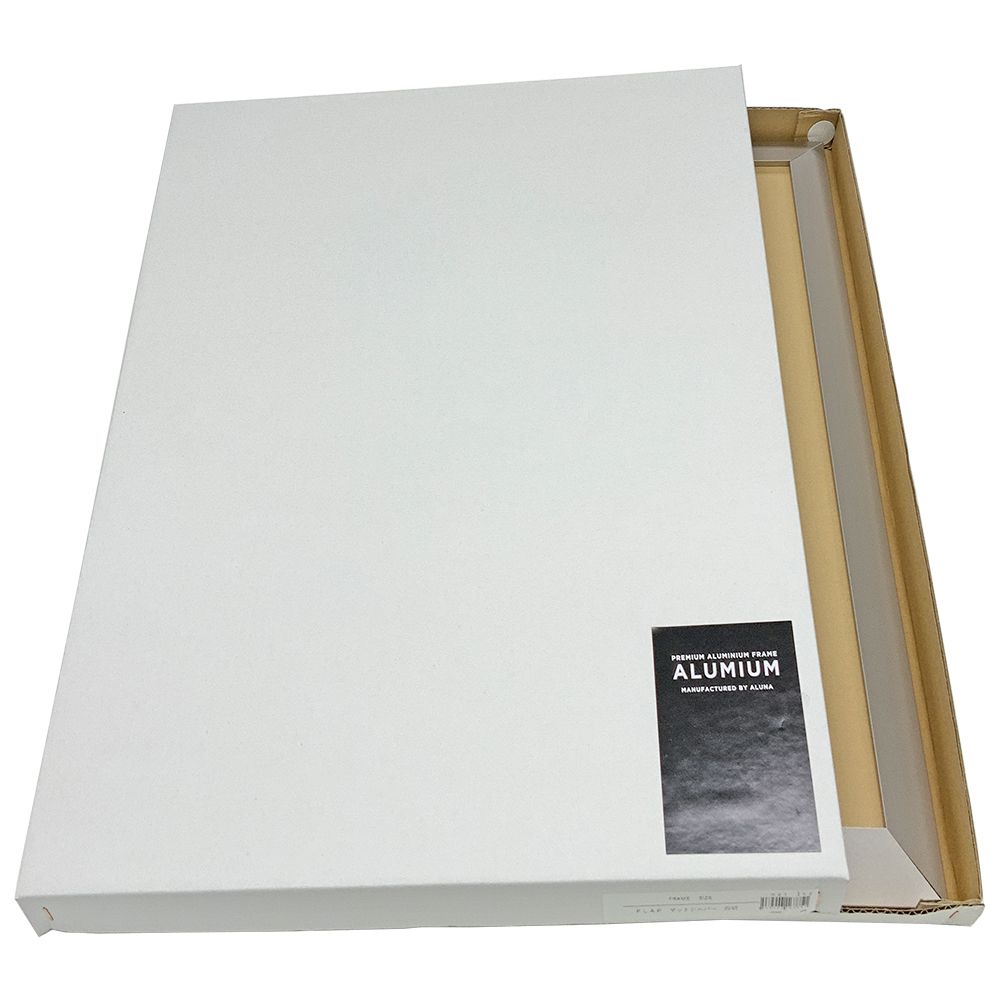 詳細画像9 FLAP-PL [マットシルバー]