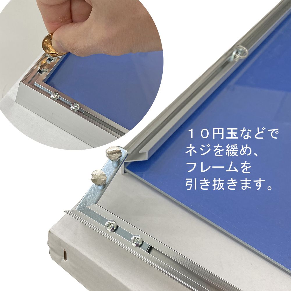 詳細画像6 裏表両面フレーム T25