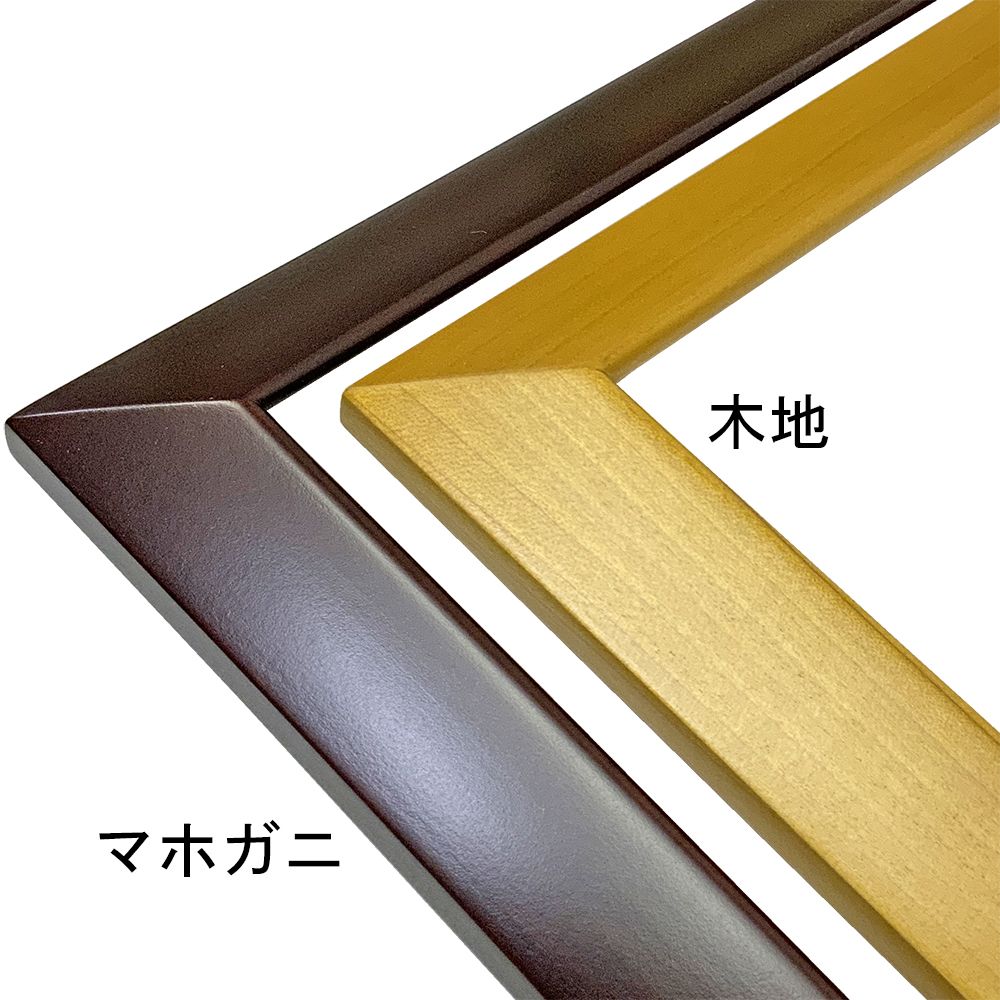 詳細画像2 一般額 HK