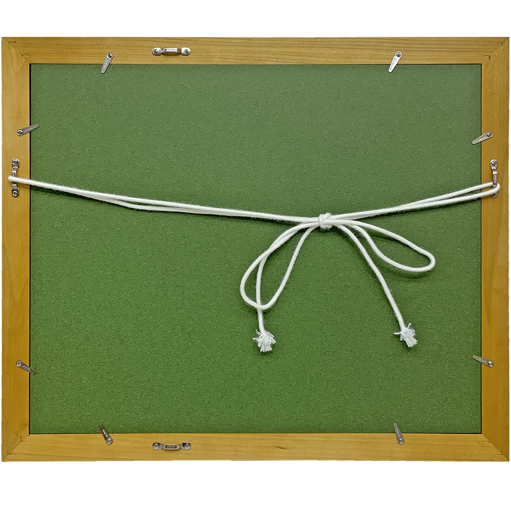 詳細画像8 一般額 HK