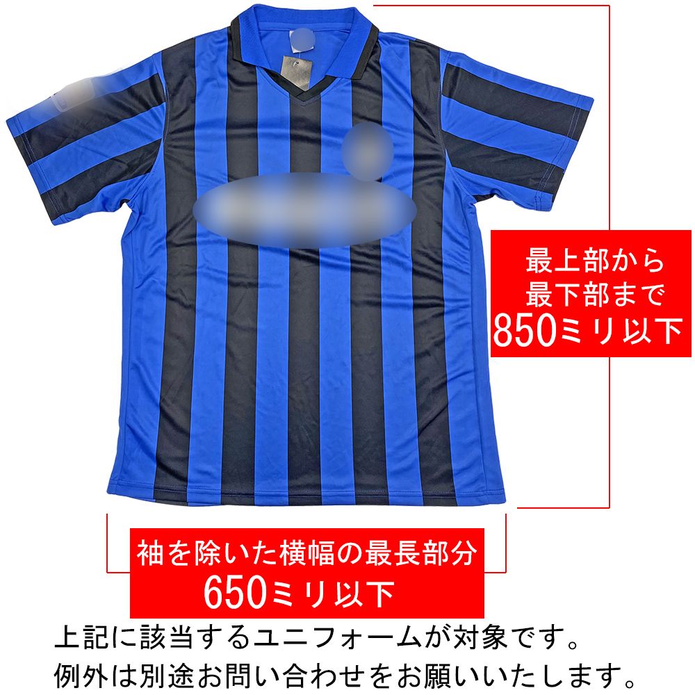 詳細画像6 [セット工賃込] ユニフォーム額 GT05