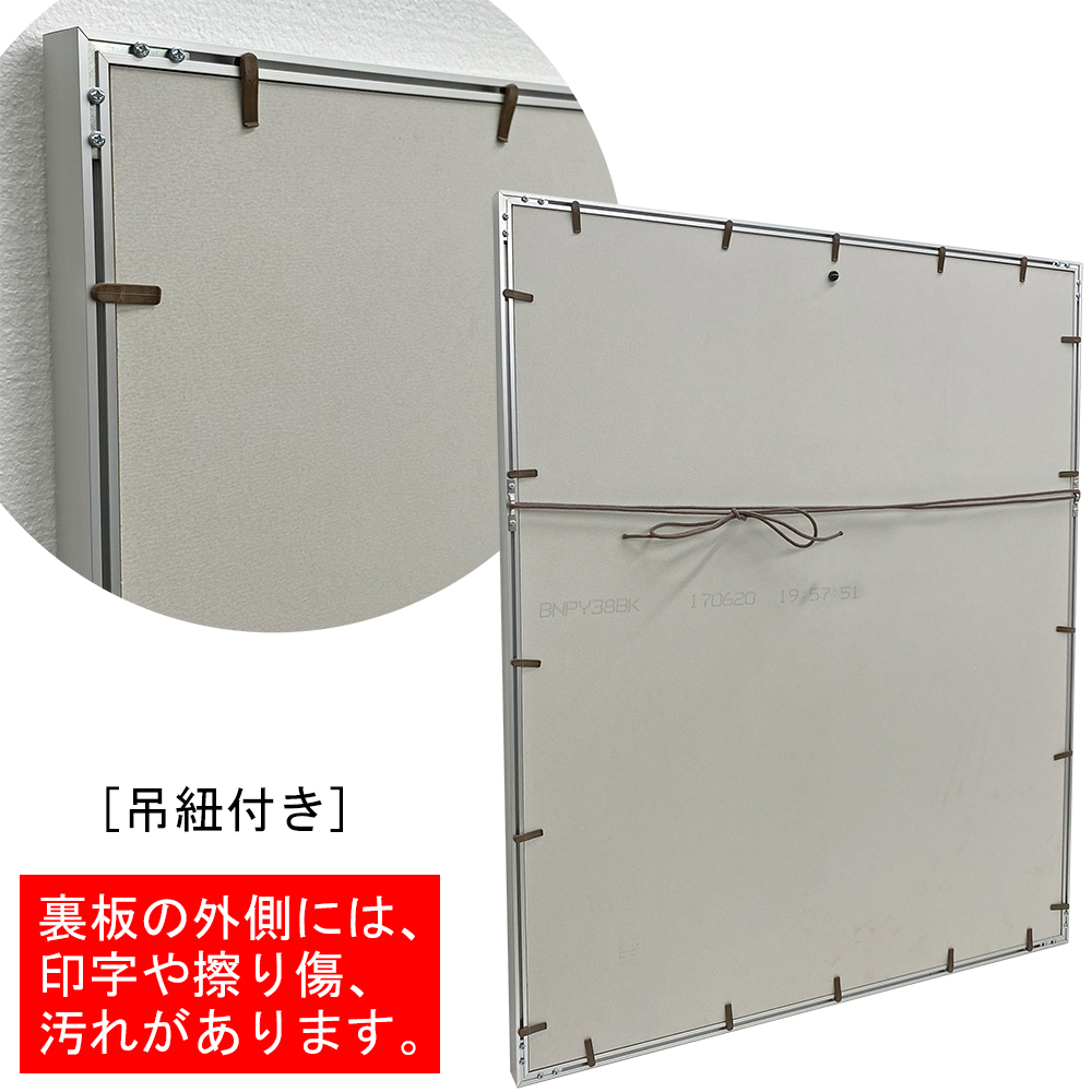 詳細画像9 [セット工賃込] ユニフォーム額 GT05