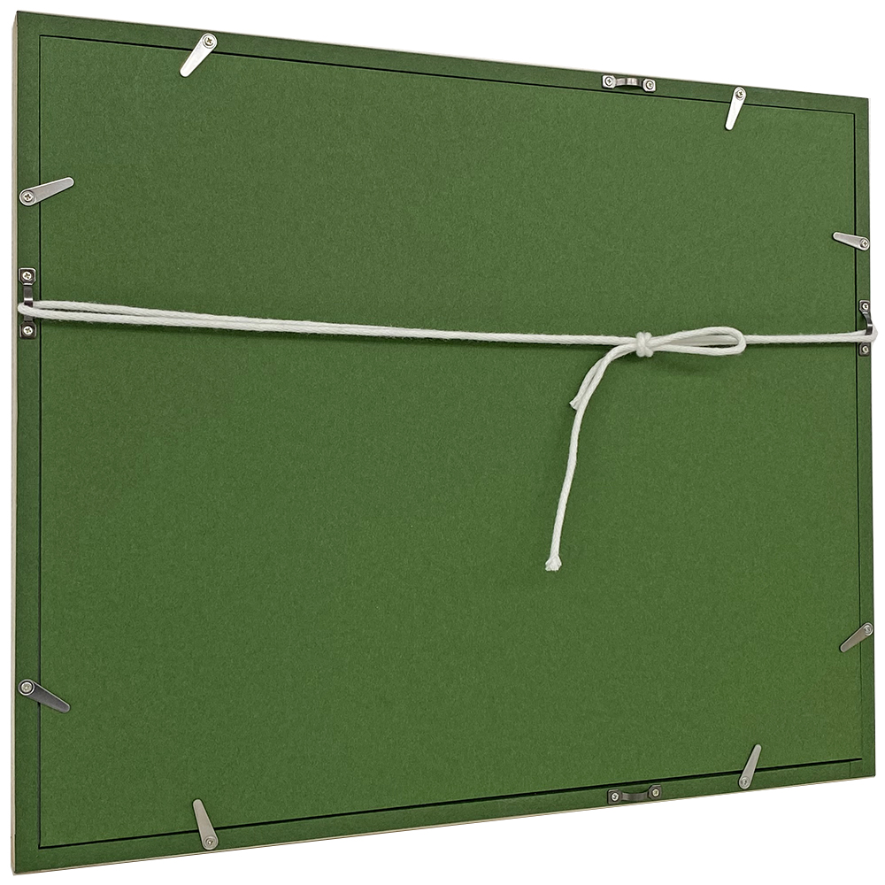 詳細画像8 看護師免許証専用額 7512