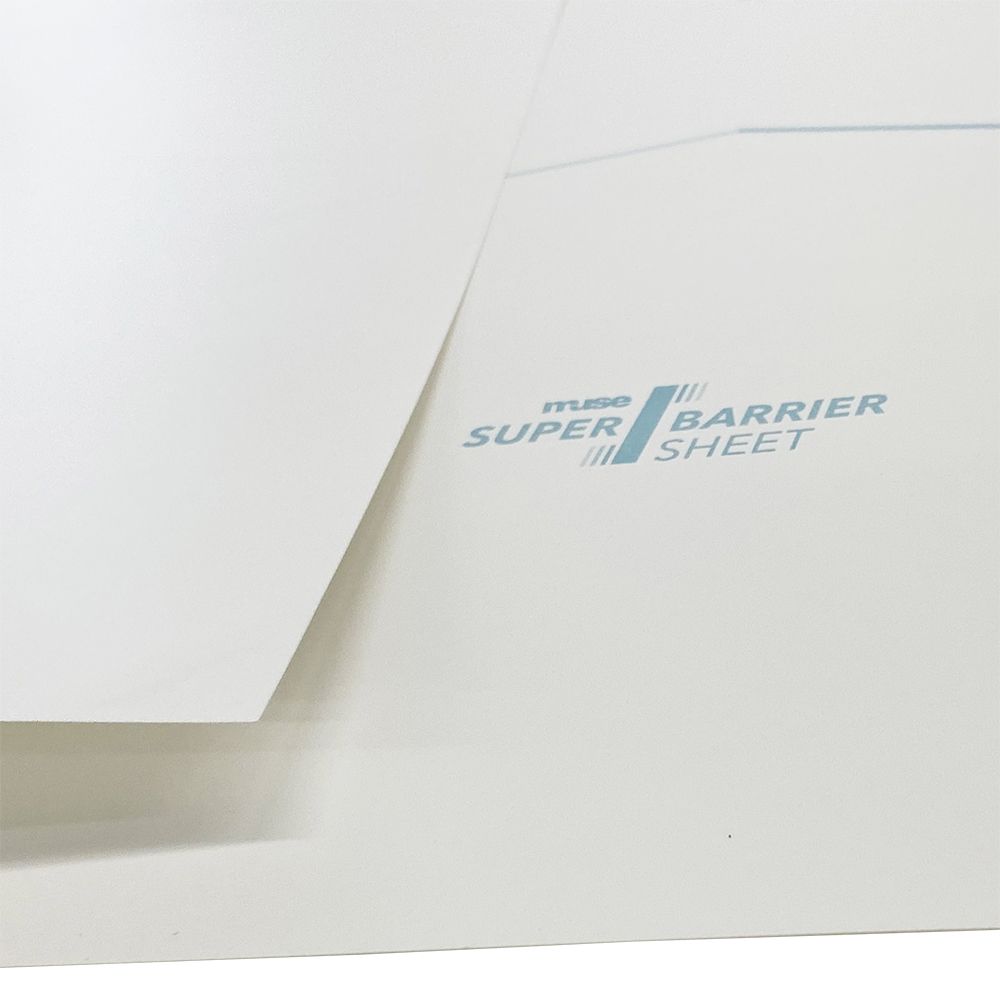 詳細画像 保存額装 スーパーバリアシート