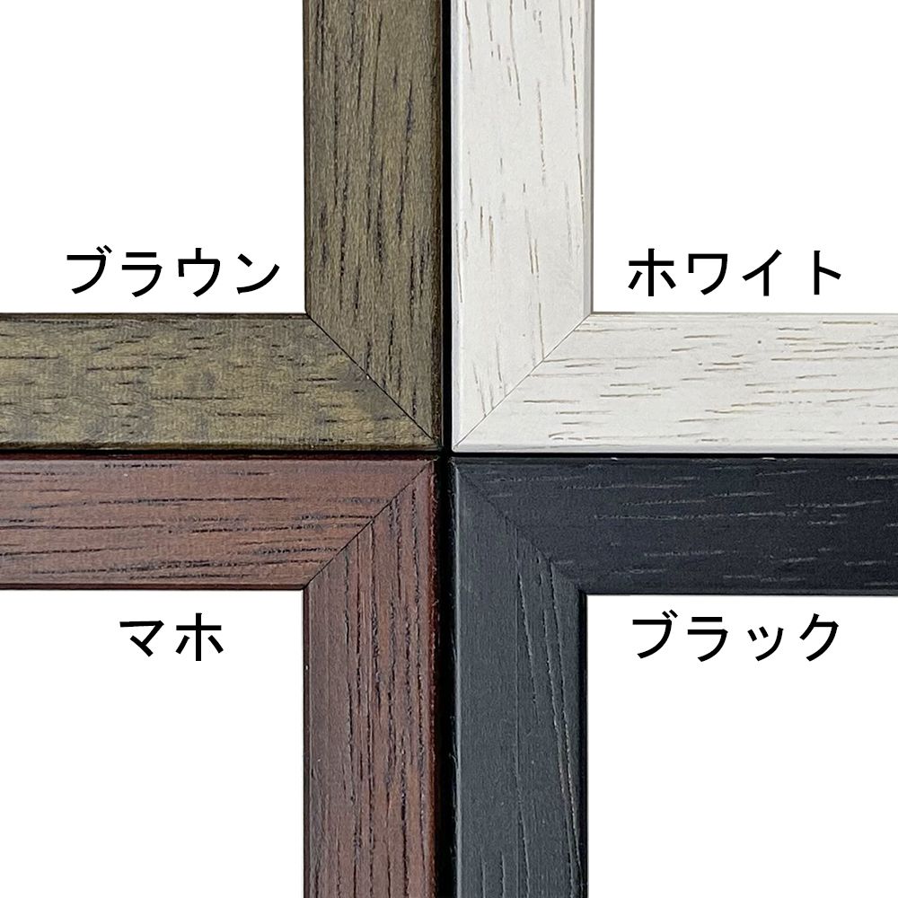 詳細画像2 一般額 TG14