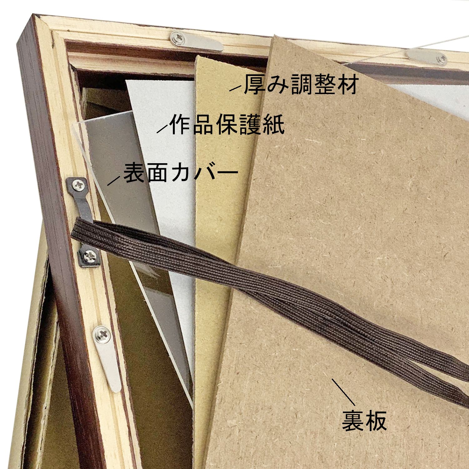 詳細画像6 一般額 TG14