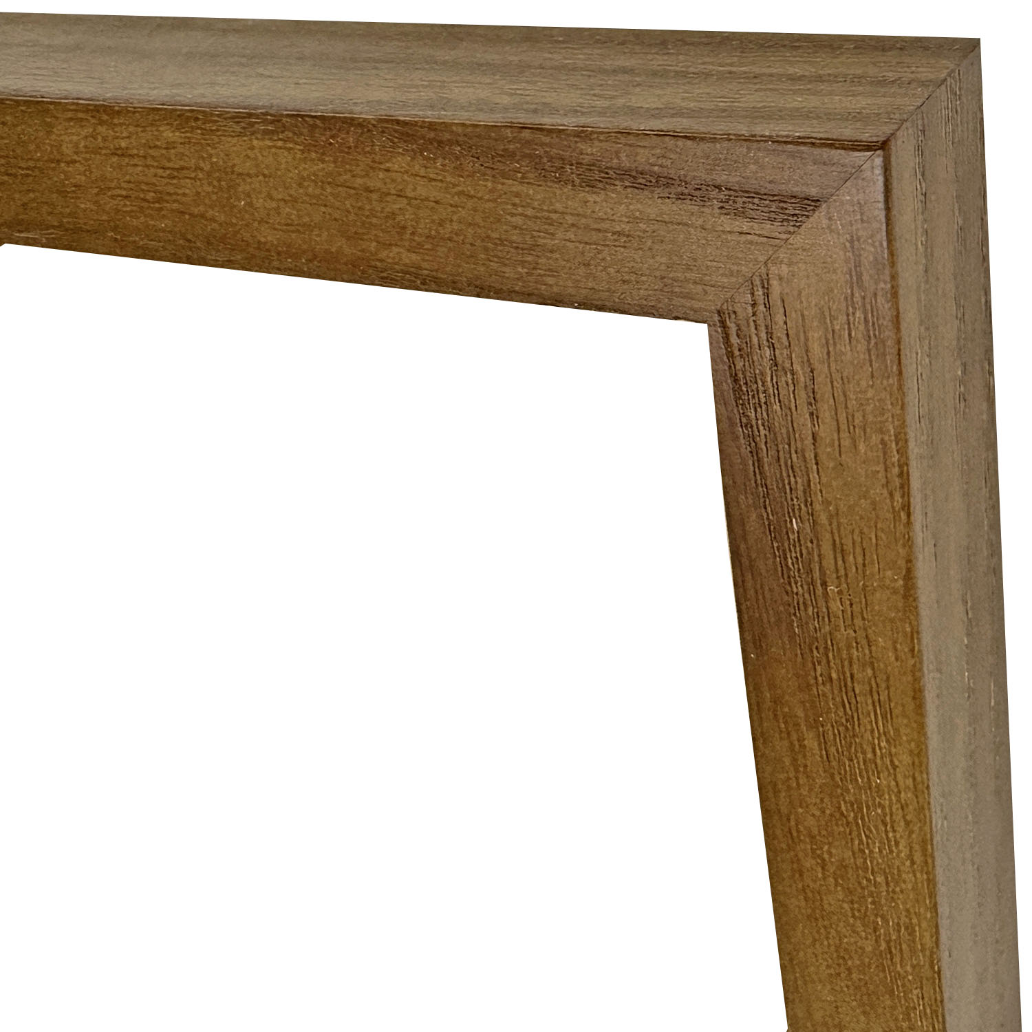 詳細画像4 一般額 GT501 BW