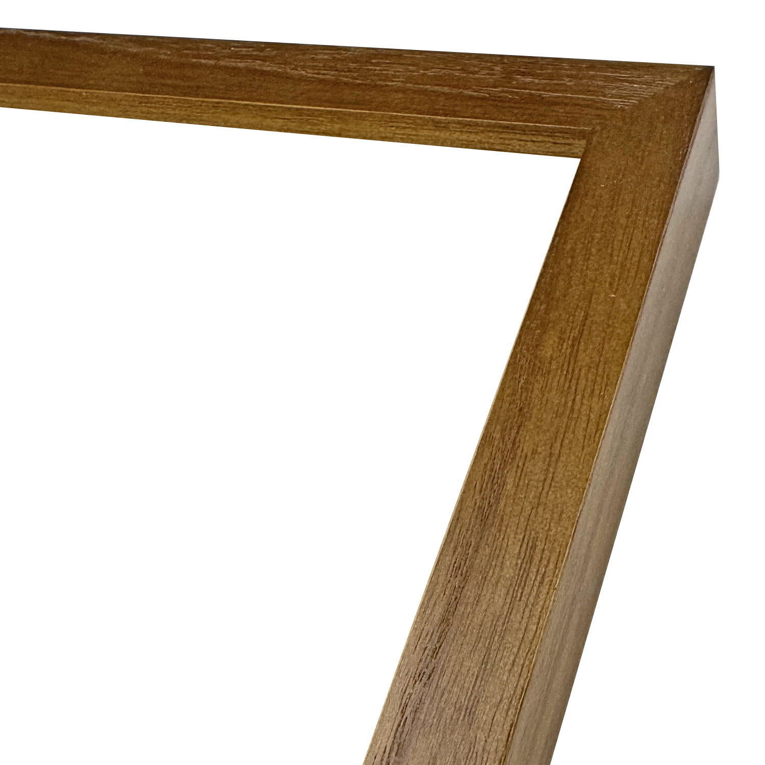 詳細画像5 一般額 GT501 BW