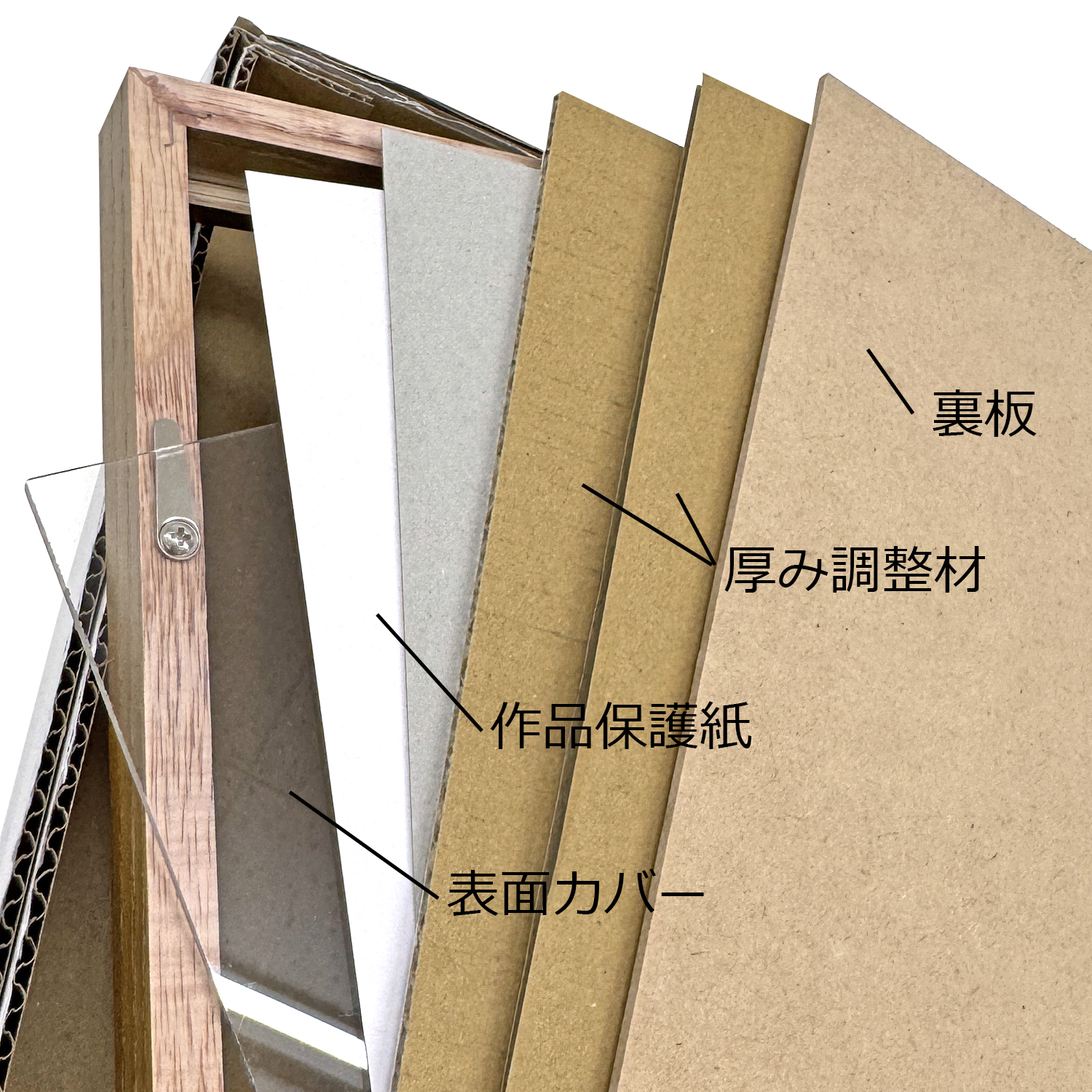 詳細画像6 一般額 GT501 BW