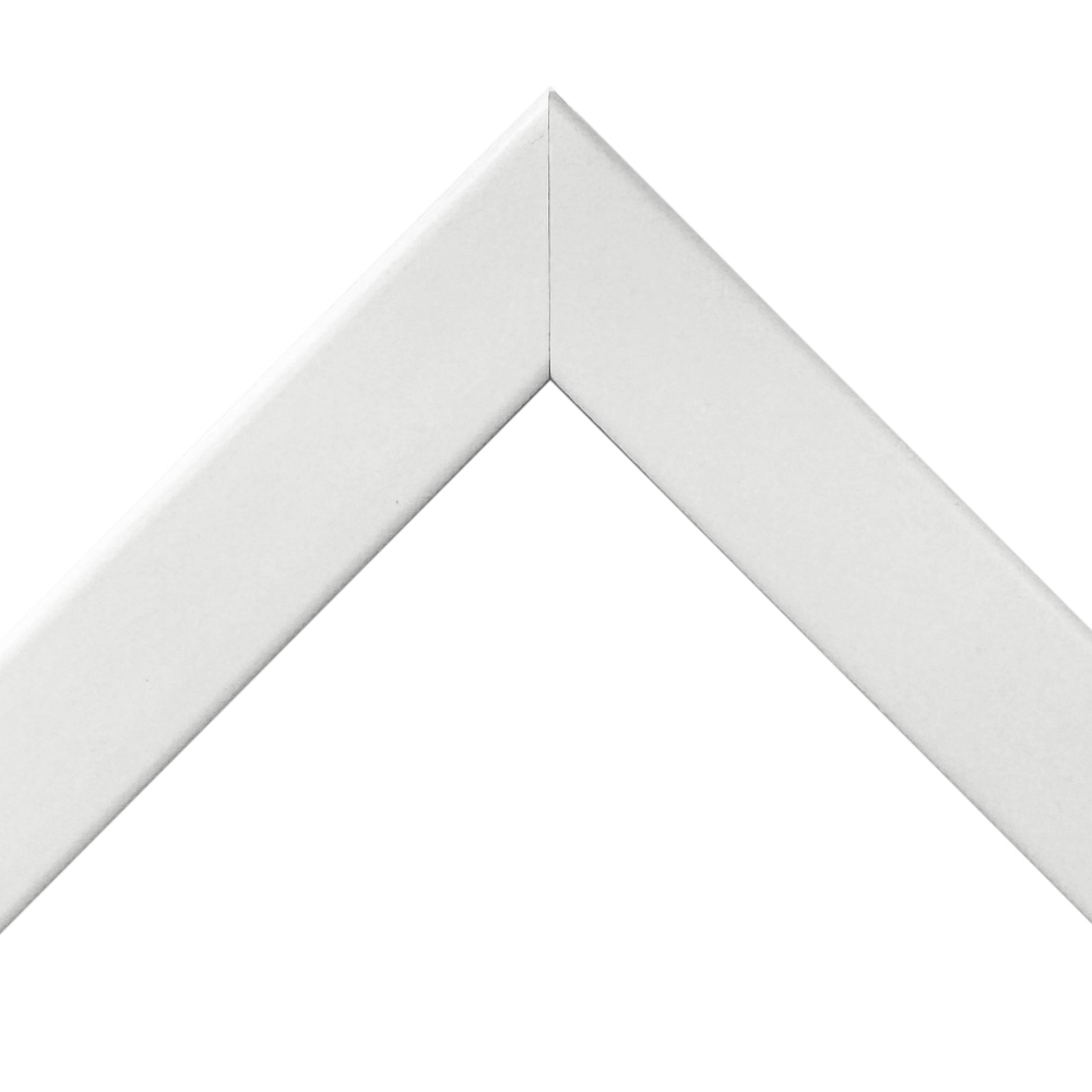 詳細画像2 GT309 ホワイト